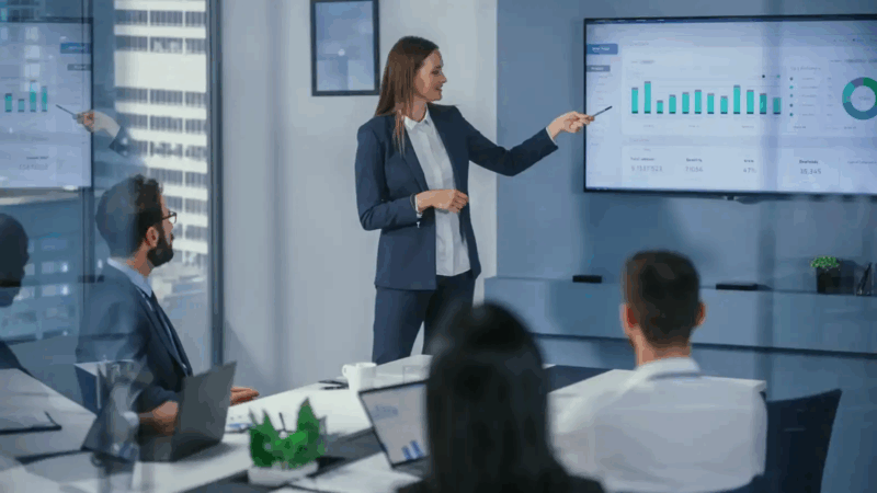 Investment project development/performance assessment