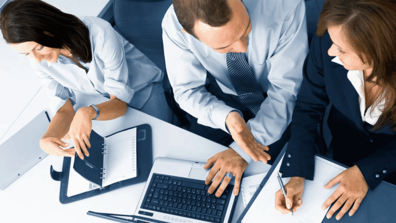 Assistance in the tax audit process